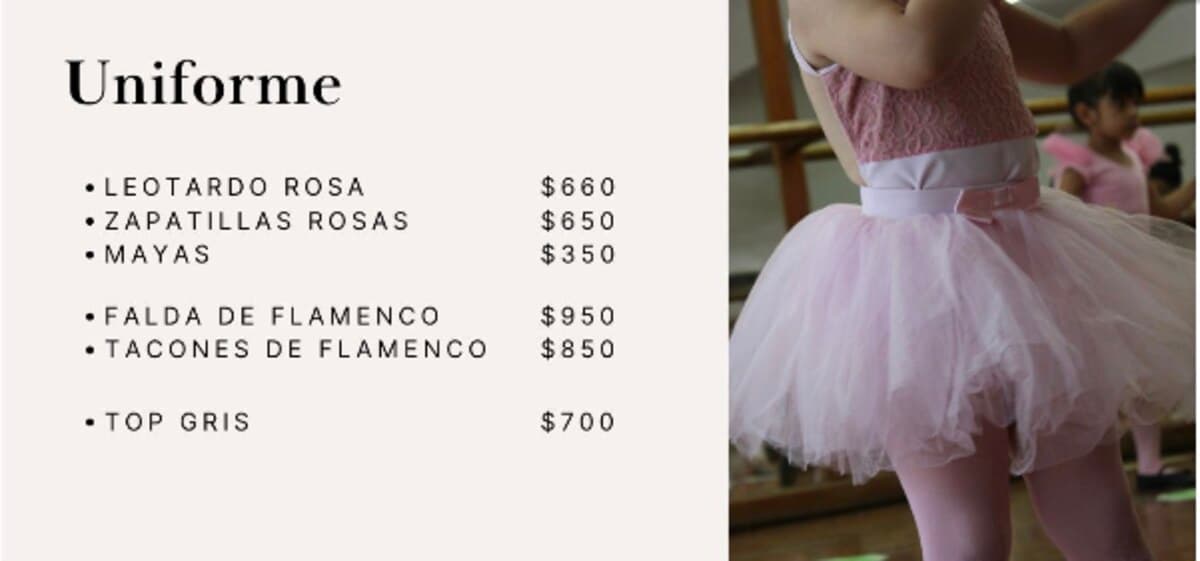 Lámina de precios del uniforme para medianas y grandes